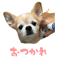 mabudachi no nichijyo