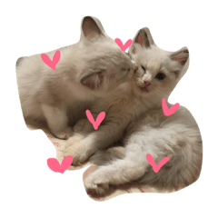 mimi&nene