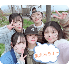 Ringo_20250816152205