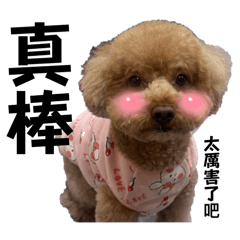 地獄惡犬 VISA 5.0