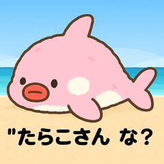 Taraco桑（无表情粉色海豚）