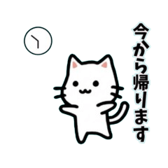 nyanko(cat)