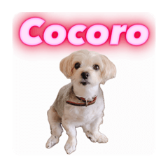 AYUMI_20250818143441