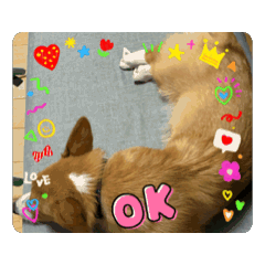 nanami_20250818203413