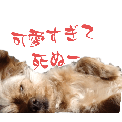 kana_20250818212542