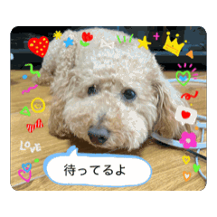 hinata_20250818213007