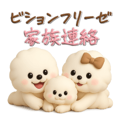 ビションフリーゼ♪家族連絡⭐︎立体.3D
