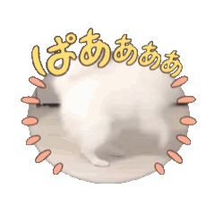 nanami_20250818221314