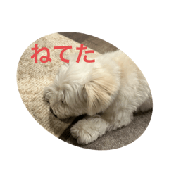 Hannah_20250818231616