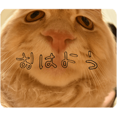 Toney_20250818232118