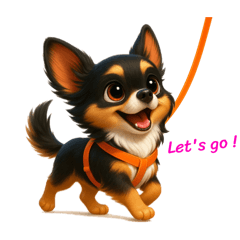 MOMO24_20250818225855