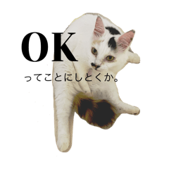 chika_20250818233401