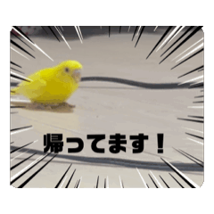 m_20250819001153