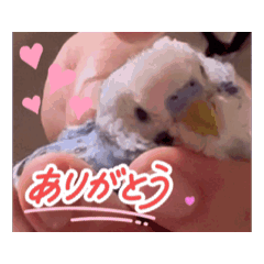 rina_20250818235221
