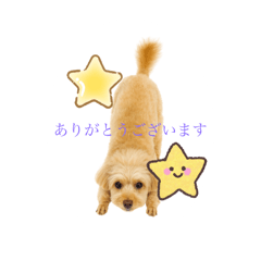 Cherry_20250818184151