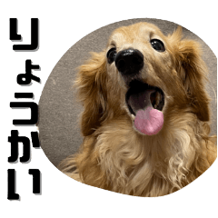 marutyan_20250818081936