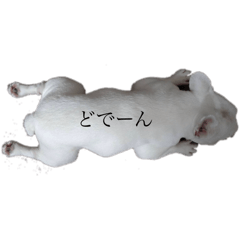 mizuki_20250818233805