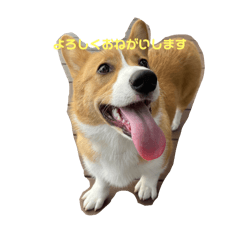 nanami_20250818234748