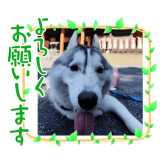 akarinrin_20250818095137