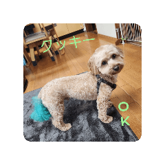 yamada_20250818102330