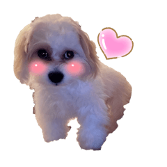 angel_20250819022002