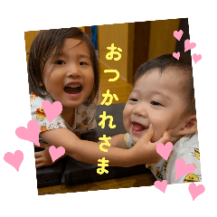hachi_20250818152425