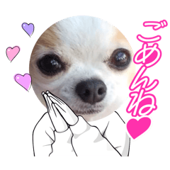 AKARI_20250818174001