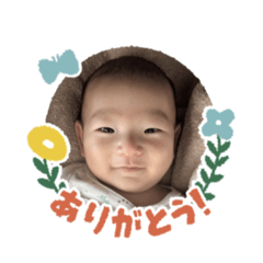Haru20250819