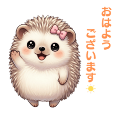 Your Everyday Hedgehog