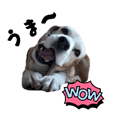 Happy_20250818132533