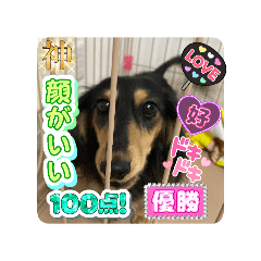 kana_20250818185826