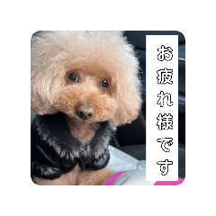 Kaho_20250818183114