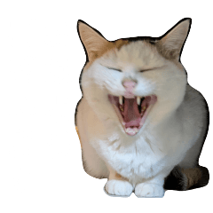 akari_20250818183309