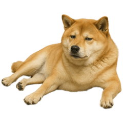 koko_20250818183432