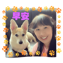 every day say good morning