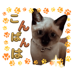 junon_20250816180104