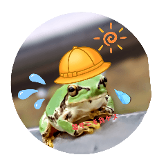 sugar_20250818161826