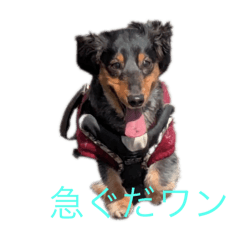 ayumi_20250818182226