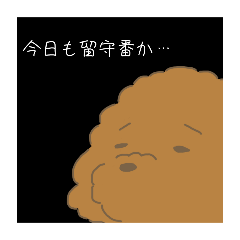 hachi_20250818163516