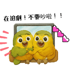 毛茸茸的可愛鸚鵡ღ