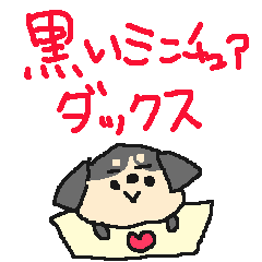 Cute Black Miniature Dachshund!