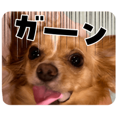 Sumire_20250818185943