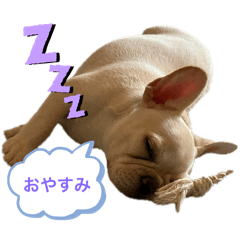 daichi_20250819105738