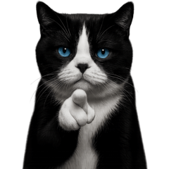 Daily Life of a Hachiware Cat