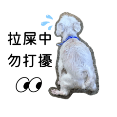 九妮小寶寶第二彈