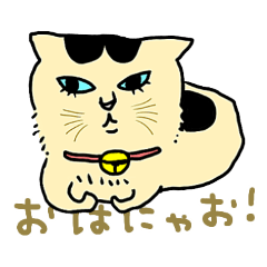 ニャンコまにあ