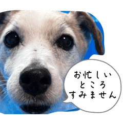 kiki_20250818213818