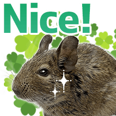 Daily Degu Stickers (English ver.)