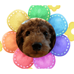 Tomohisa_20250818213758