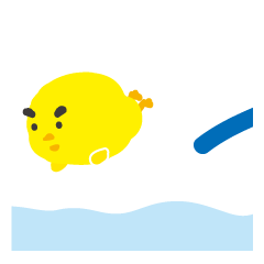 Swimming Duck